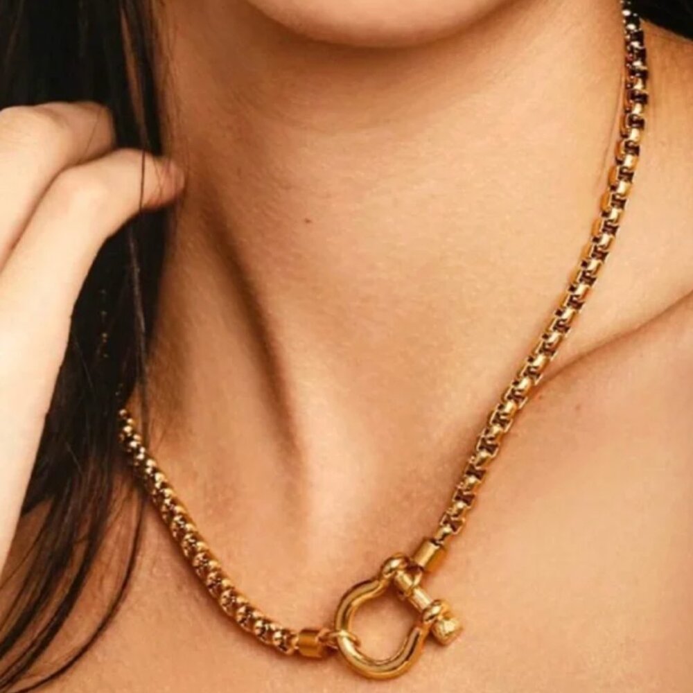 NWOT Gold Carabiner Necklace
